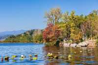 把秋假還給自然!這裡的秋冬沒有圍牆~