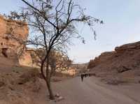 8日哈薩克斯坦等多國免簽遊攻略來啦