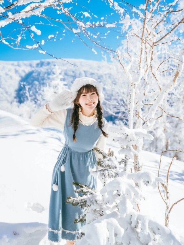 冬遊雪國三省這些玩法別錯過