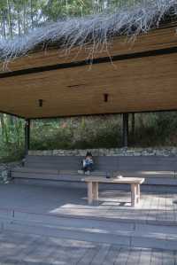 秋天帶娃住進莫干山，被美景治癒了！