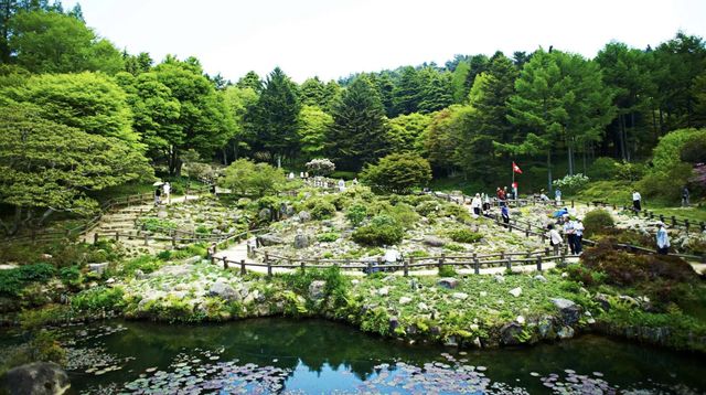 六甲山：神戶之巔的自然、音樂與夜景