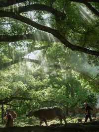 今年我最喜歡的濱海小城,太出乎意料了