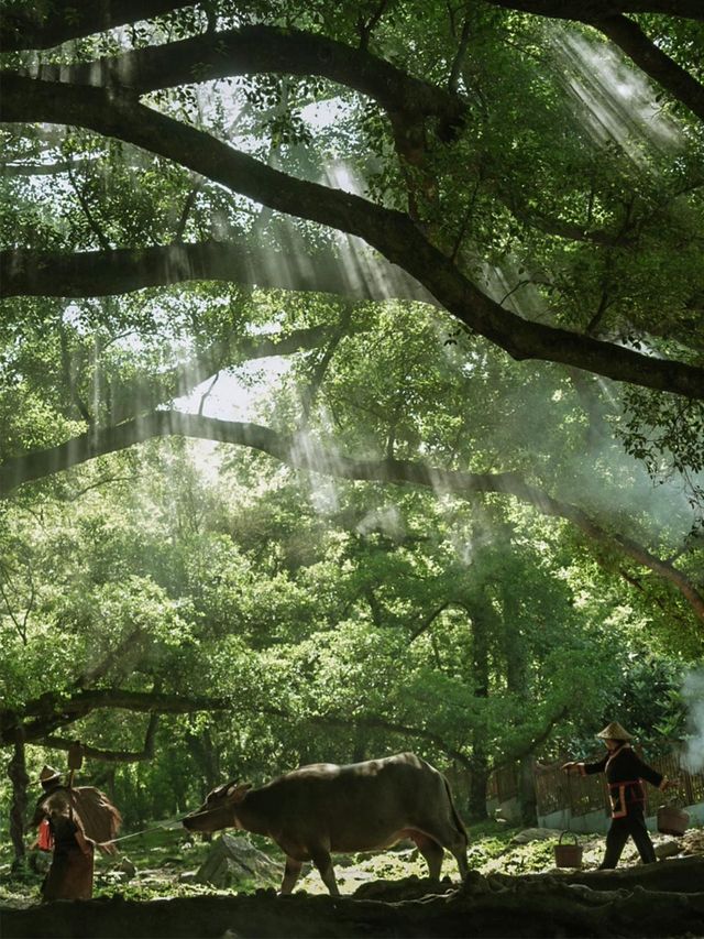 今年我最喜歡的濱海小城,太出乎意料了 今年我最喜歡的濱海小城,太出乎意料了