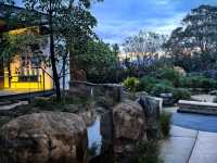 住進動物園的夜！Taronga最美棲息之旅