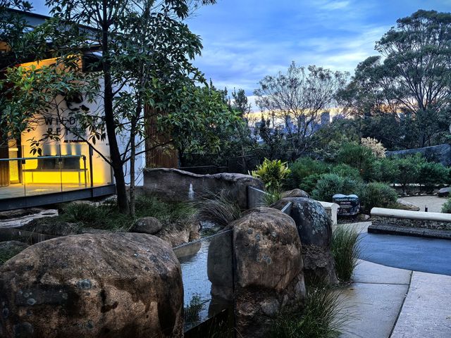 住進動物園的夜！Taronga最美棲息之旅