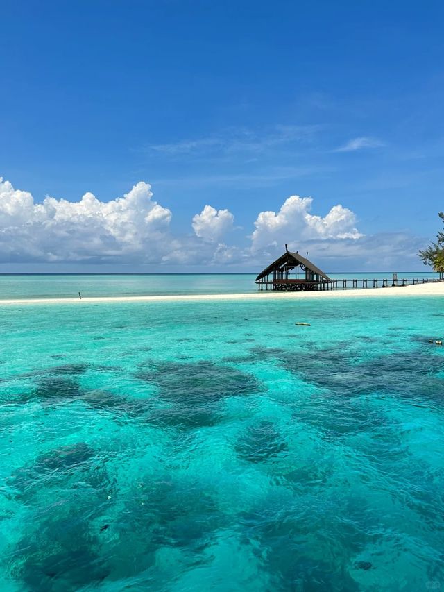 仙本那的一日遊行程真係超值! 仙本那的一日遊行程真係超值!