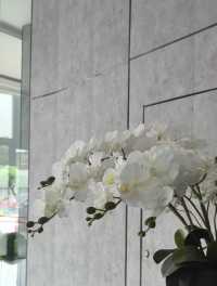 南京丨金陵古寺賞秋必入