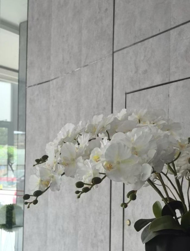 南京丨金陵古寺賞秋必入