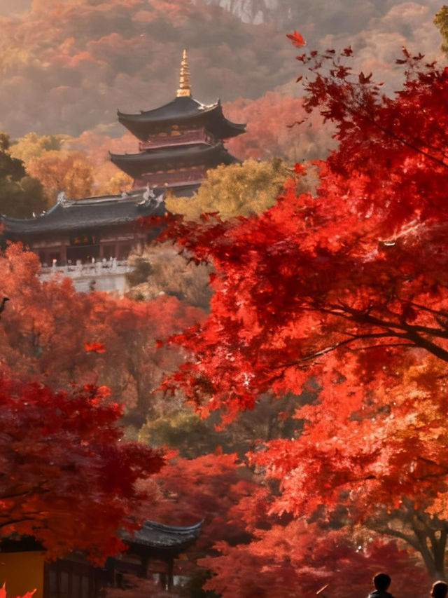 南京棲霞山秋日行｜漫山紅葉浸染金陵，邂逅最詩意的秋天