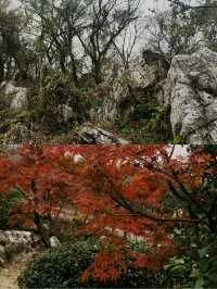 南京老山冬日限定！私藏絕美觀景台