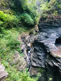 紐約周邊遊：瓦特金斯格倫州立公園