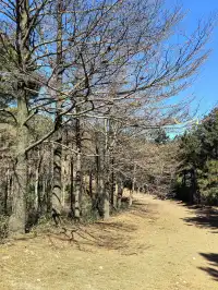 四明山十字褲徒步 上海-餘姚