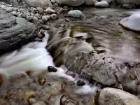 2025年11月16日廣元唐家河