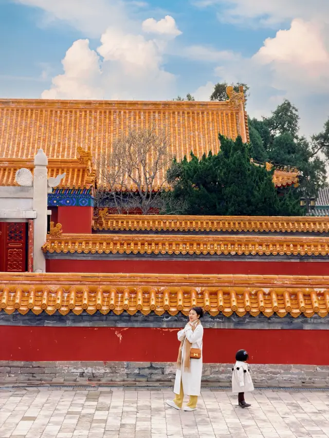 北京地壇公園銀杏葉鋪滿地的金黃晚秋