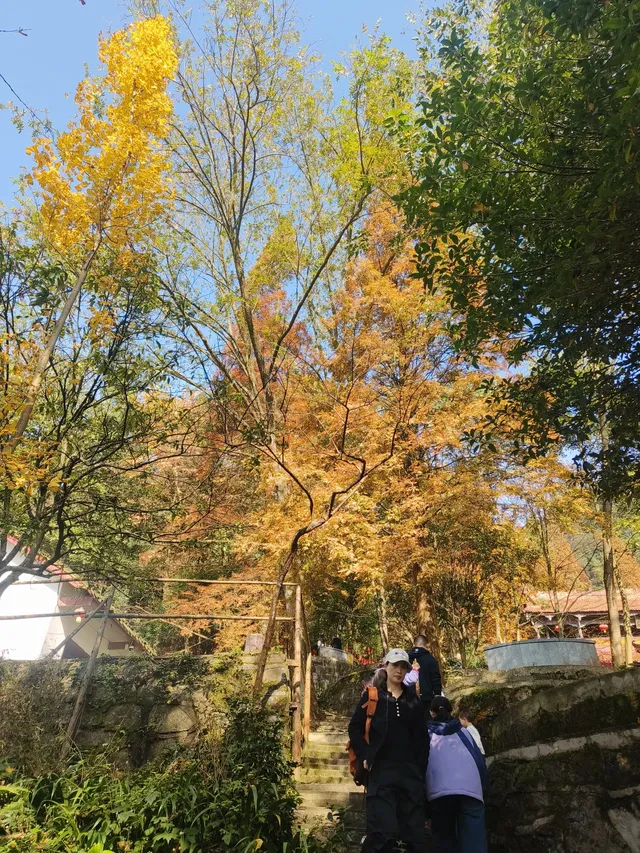 都江堰靈巖寺最容易領的獎牌