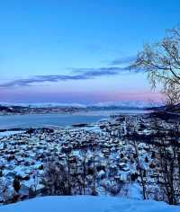 被極光親吻過的北國淨土，雪峰與森林交織成花卷。—挪威