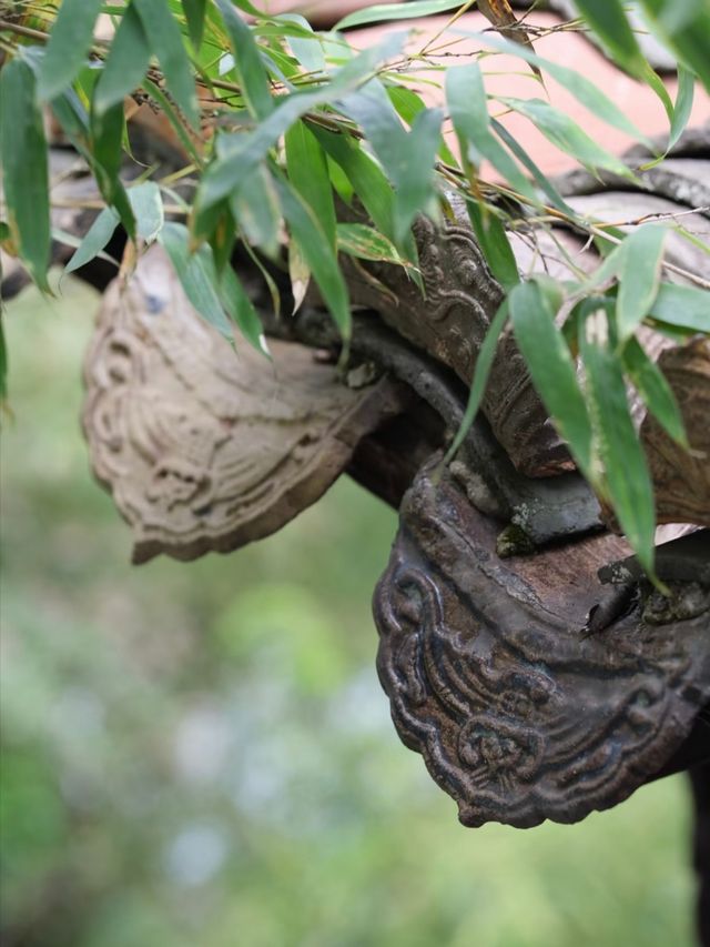 這才是安徽涇縣桃花潭的正確打開方式！