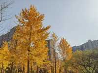 秦陵遺址賞秋攻略