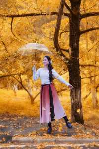 接下來這將是廣東賞秋天花板……