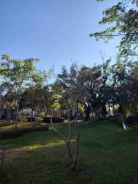 闖入普洱秘境被這片鋪天蓋地的藍治癒了