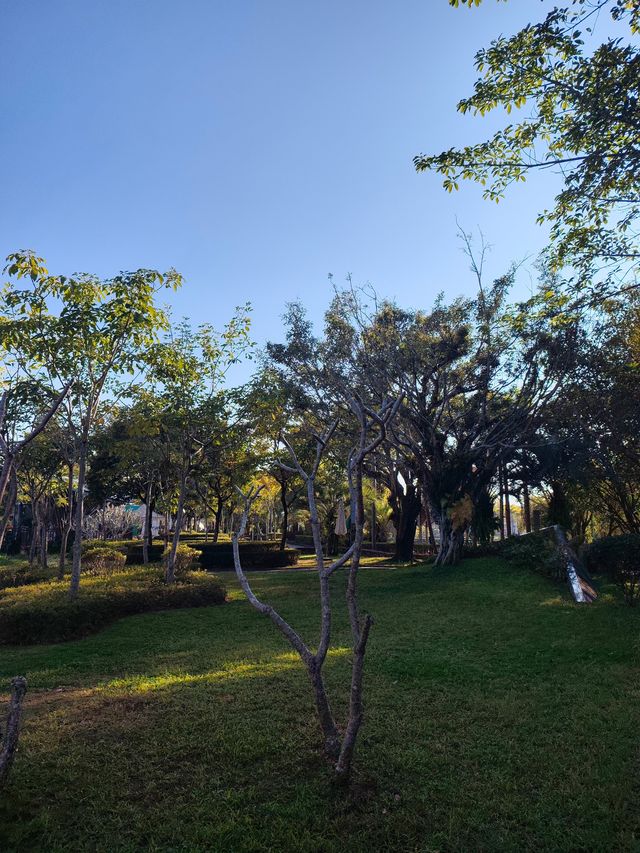 闖入普洱秘境被這片鋪天蓋地的藍治癒了 闖入普洱秘境被這片鋪天蓋地的藍治癒了