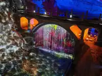 別讓年卡“躺”過冬天!快來邂逅別樣冬日~