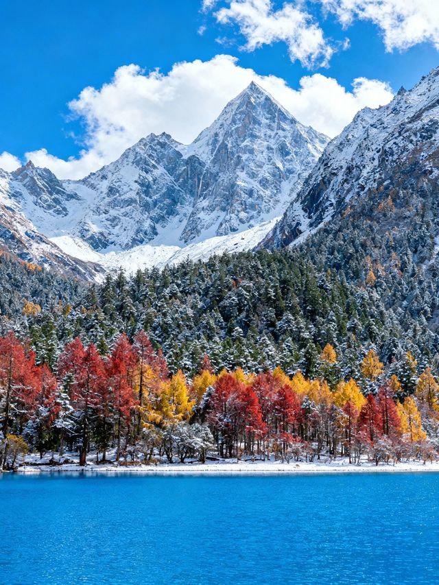 誰懂啊！畢棚溝把秋天和冬天揉在一起了！