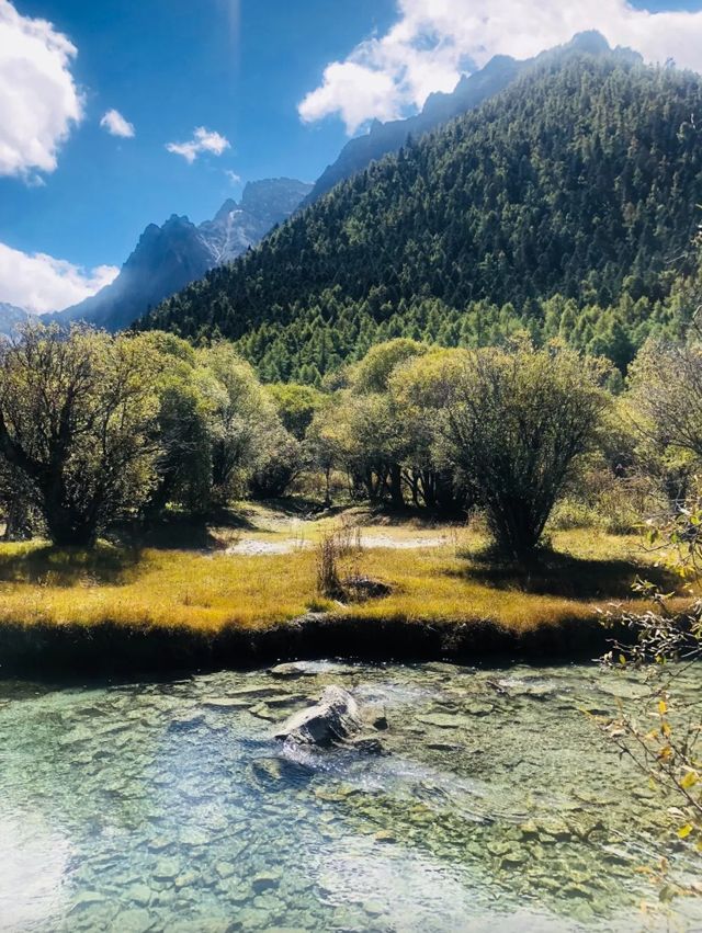 稻城亞丁秘境沖古草甸才是真正的世外桃源! 稻城亞丁秘境沖古草甸才是真正的世外桃源!