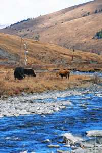 壯美雪山秘境打卡姑弄村的半日悠閒