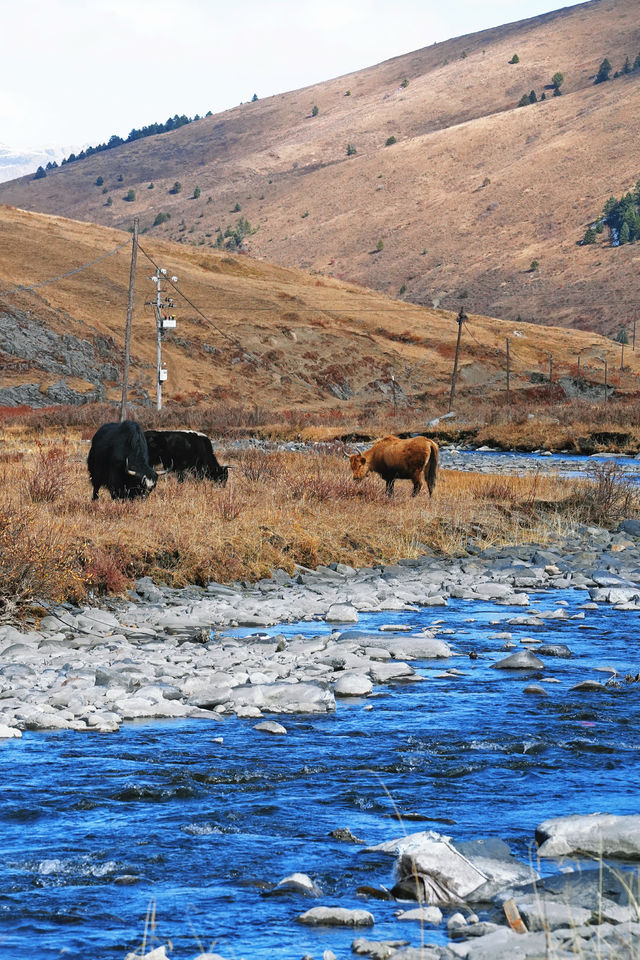 壯美雪山秘境打卡姑弄村的半日悠閒 壯美雪山秘境打卡姑弄村的半日悠閒