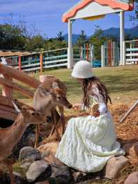 廣州版阿那亞！冬日繁華+牛羊牧場太治癒！