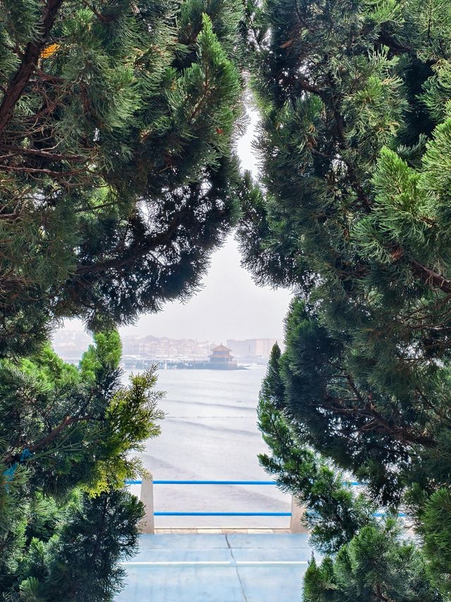 青島旅遊!刷爆朋友圈的12個免費機位 青島旅遊!刷爆朋友圈的12個免費機位