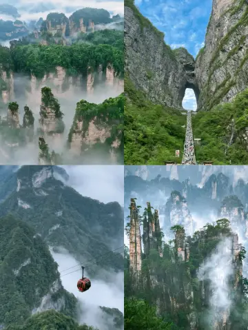 장가계 1일 투어 폭주 가이드