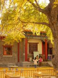 在禪意空間收藏蒙山濃烈的秋天