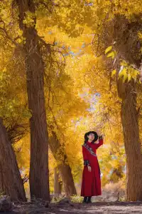 誰懂啊！西北才是年輕人的精神出逃地