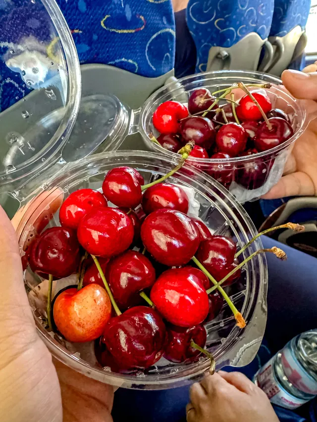 南極前序｜暴走聖地亞哥！實現車厘子自由