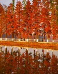 武漢的秋天還是太權威了······