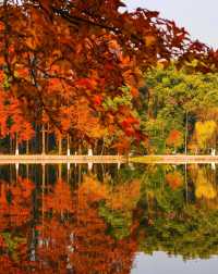 武漢的秋天還是太權威了······