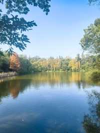 【韶關紅葉季】韶州公園漫步指南童話世界的調色盤在這裡!