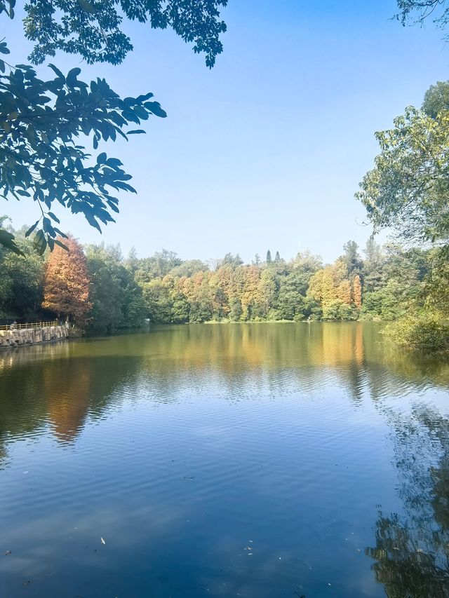 【韶關紅葉季】韶州公園漫步指南童話世界的調色盤在這裡! 【韶關紅葉季】韶州公園漫步指南童話世界的調色盤在這裡!