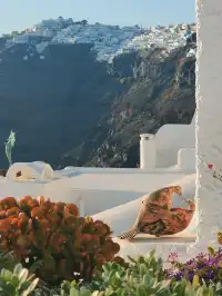 聖托里尼｜Fira小鎮正確打開方式，附紅黑沙灘