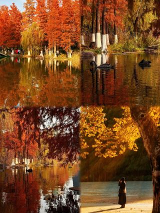 I gave up on Hangzhou, Ningbo is just too good!