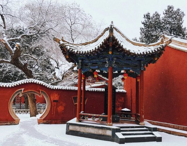 武威文旅放大招！住酒店免門票