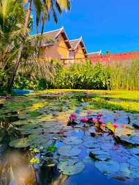 琅勃拉邦蓮花餐廳,像在油畫裡用餐