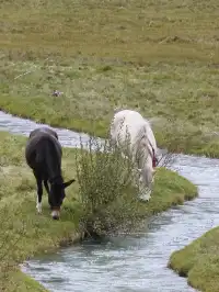 稻城亞丁&理塘｜藏地的浪漫不止詩和遠方