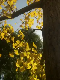 冬日在蘇州河遊蕩一整個下午附路線