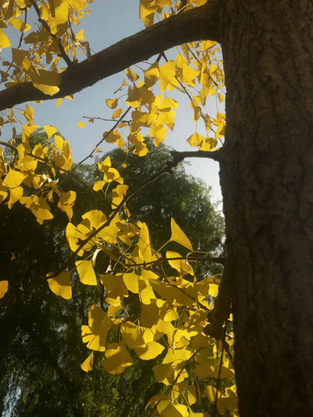 冬日在蘇州河遊蕩一整個下午附路線