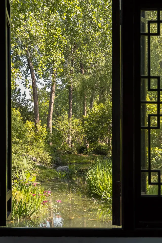 揚州的秋色真的值得專程去一趟