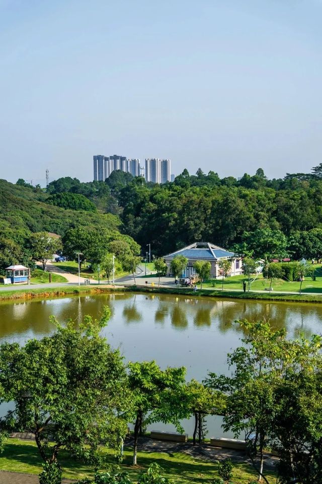 【深圳兩天一夜深度遊】中山公園 + 文天祥紀念公園 【深圳兩天一夜深度遊】中山公園 + 文天祥紀念公園