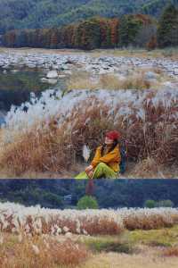 寧波徒步爬山|水杉-蘆葦蕩秋天王炸組合路線